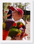At the Zoo (14) * 576 x 768 * (89KB)